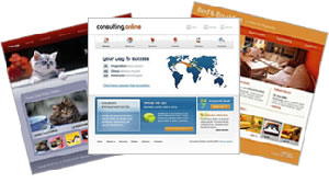 T324 Web Site Packages