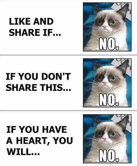 Technology at SXSW 2013 MEME-Grumpy-Cat-vs.-Facebook