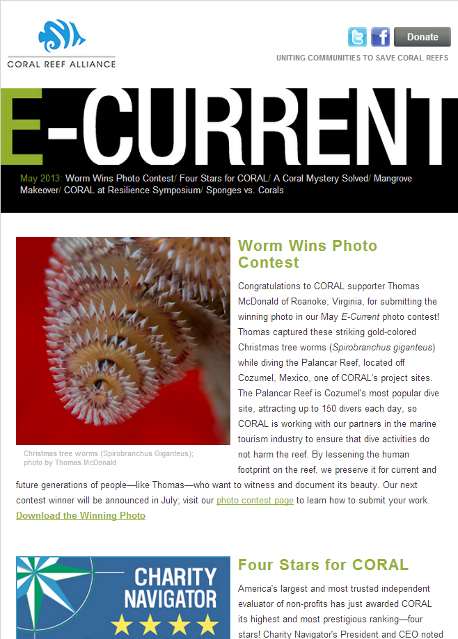 Responsive email newsletter Responsive email newsletter