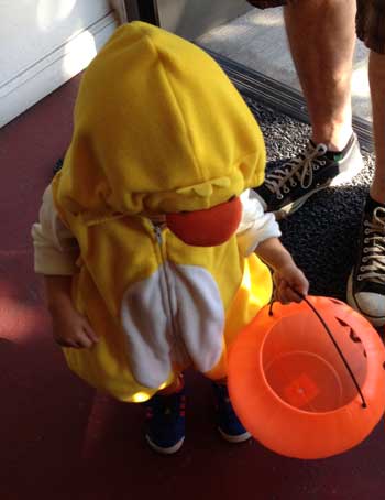 littleduck